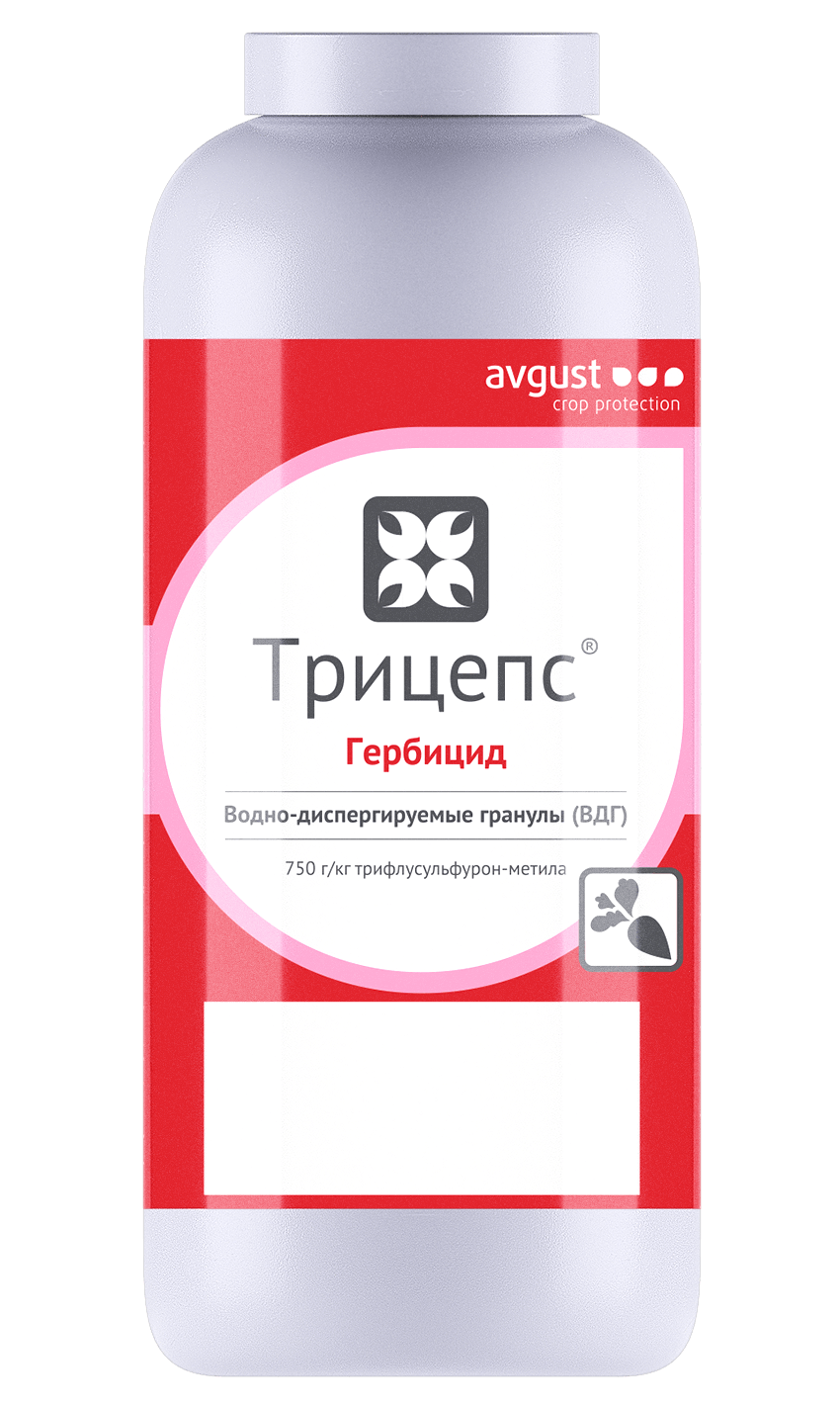 НордСтрим