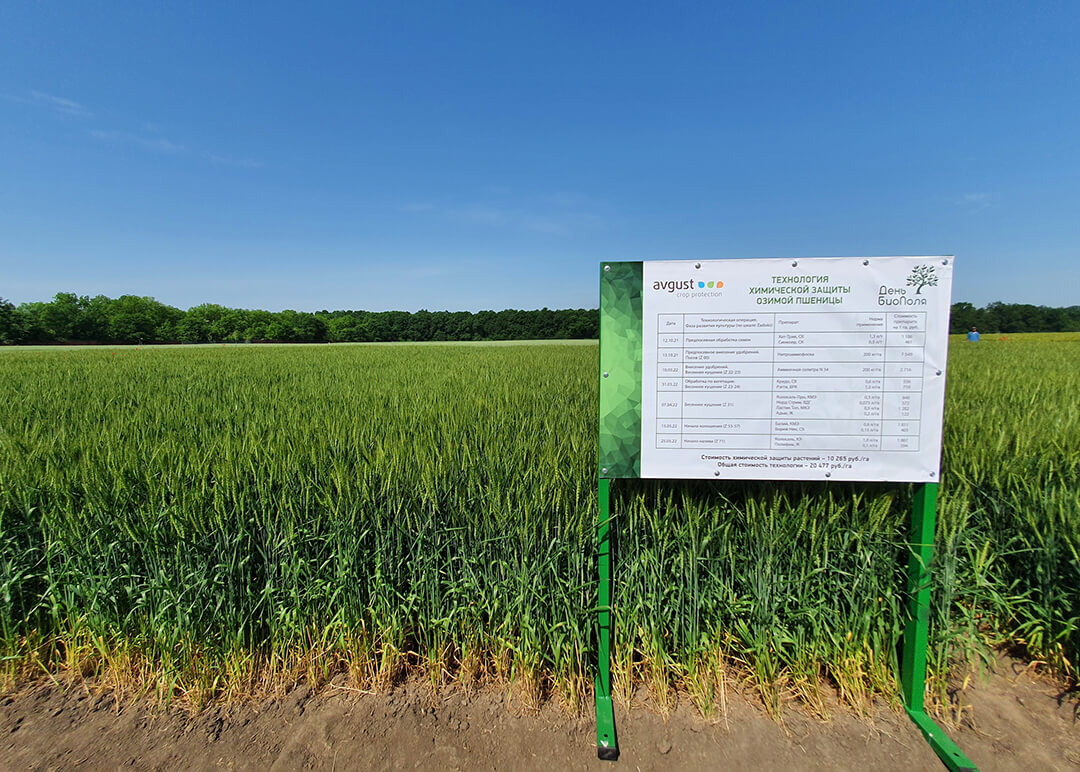 Biofild altındakı "avqust" - 2022
