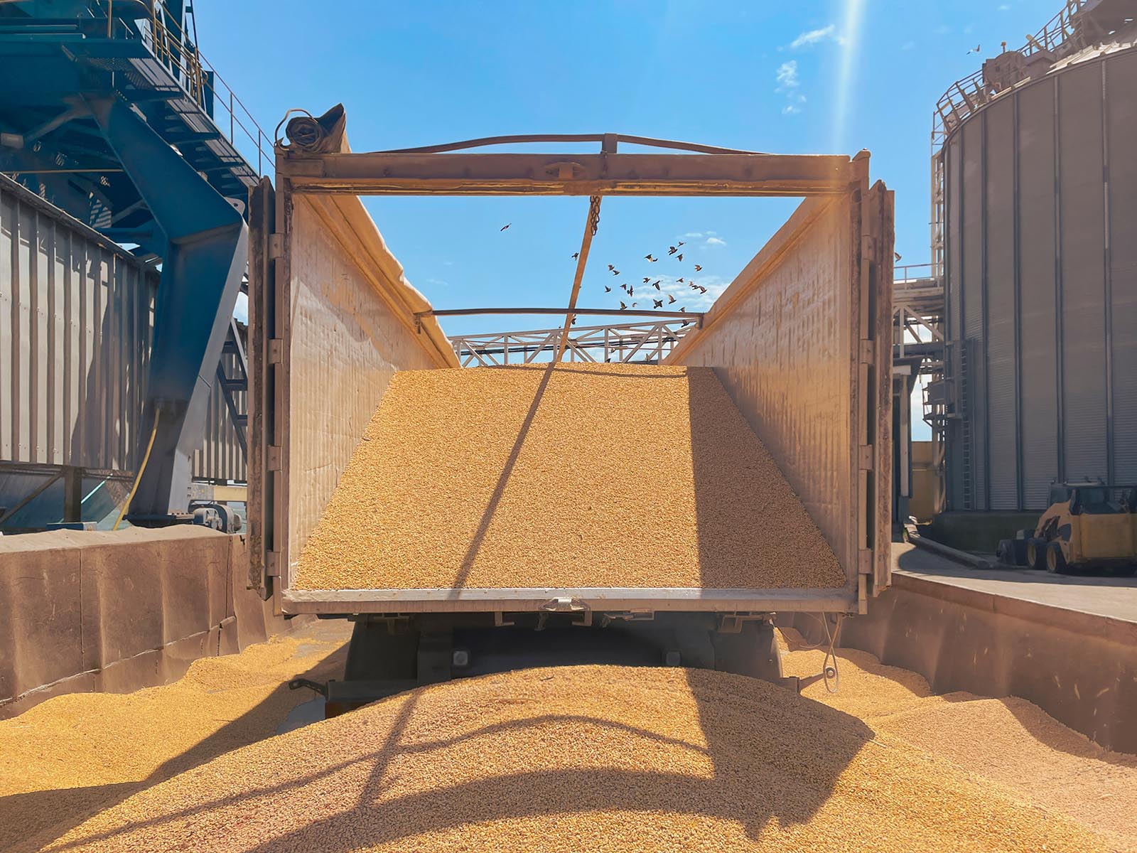 Tatarıstandan kənd təsərrüfatı məhsullarının ixracı 7% artıb%