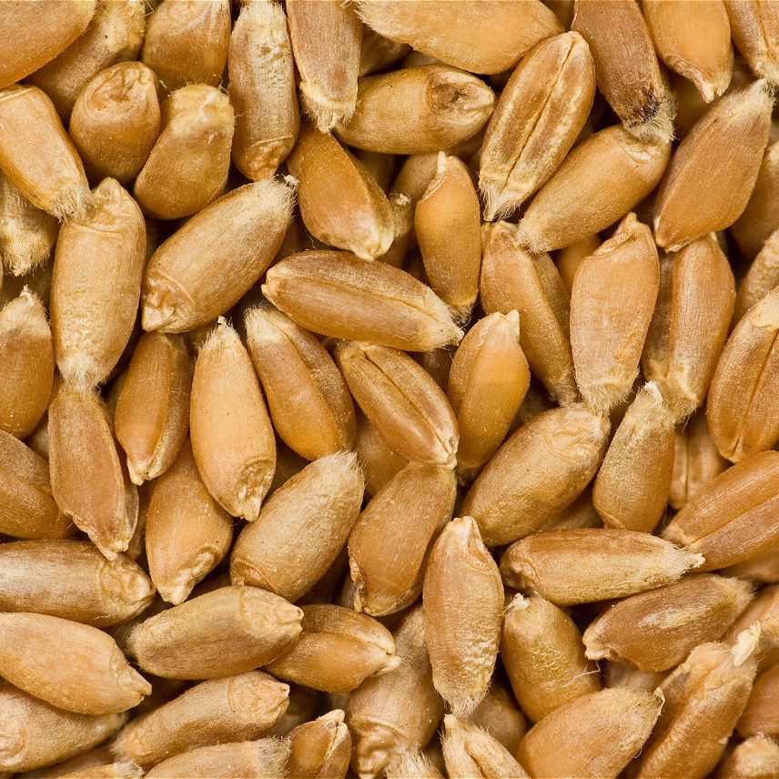 Təmizləmə sonra kilo məhsulları