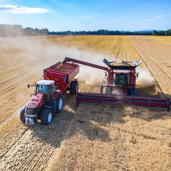 Tarla bitkilərinin məhsuldarlığının hesablanması