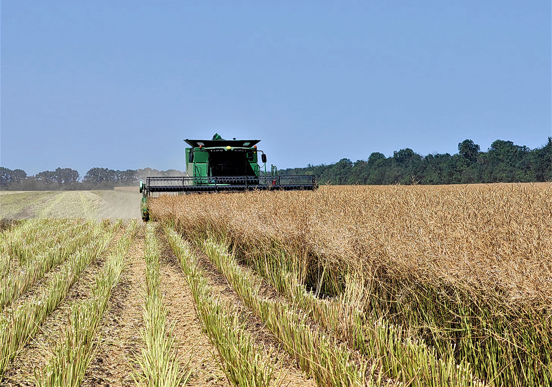 Rusiya Kənd təsərrüfatı üçün pestisid çatışmazlığını təhdid edirmi?